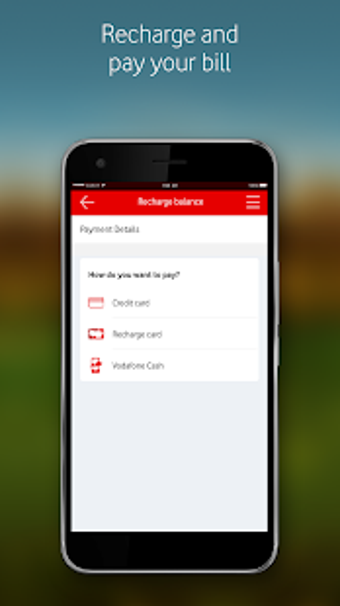 Ana Vodafoneの画像0