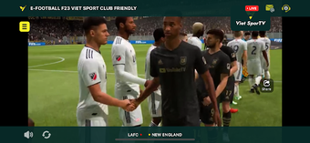 Bild 0 für Vietsportv