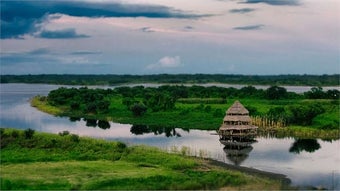 Image 0 for Amazon Landscapes PREMIUM