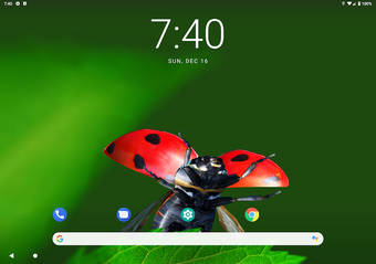 Bild 0 für Bugs Life 3D Free - 3D Li…