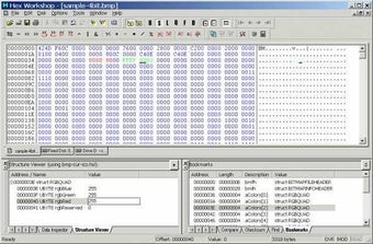 Hex Workshop的第1张图片