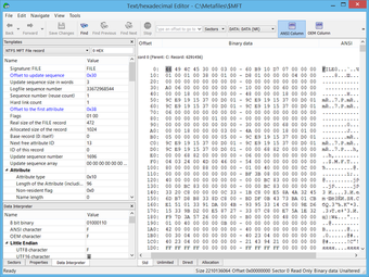 Obraz 0 dla R-Studio Data Recovery