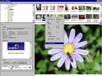 Image 0 for Zoom Studio