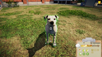 Bild 0 für Animal Shelter: Prologue