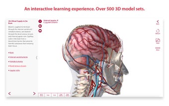 Image 0 pour Anatomy and Physiology An…