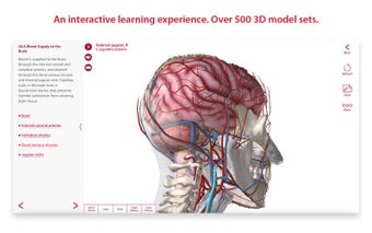 Anatomy and Physiology An Introduction to Body Structures