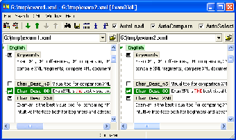 Imagen 0 para ExamXML