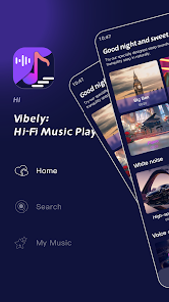Bild 0 für Vibely : Hi-Fi Music Play…
