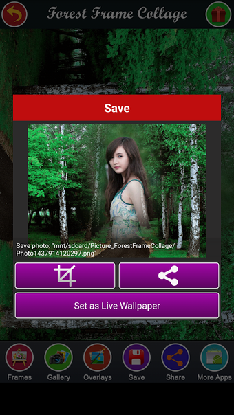 Image 0 for Forest Frame Collage