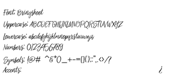 Image 0 pour Bringshoot