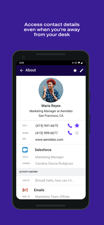 Obraz 0 dla Dialpad