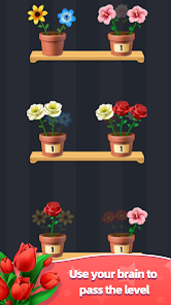 Obraz 0 dla Relaxing Flower Match