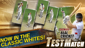 Obraz 1 dla Real Cricket Test Match