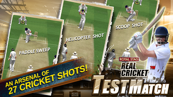 Obraz 2 dla Real Cricket Test Match