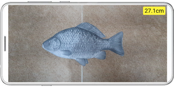 Image 0 pour Fish ruler