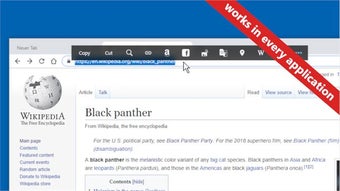 Immagine 0 per Pantherbar