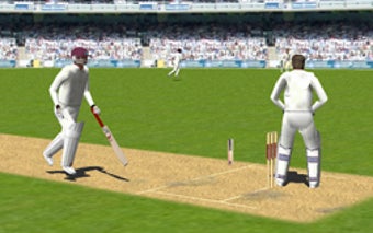 Obraz 4 dla Cricket 3D