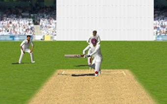 Obraz 3 dla Cricket 3D