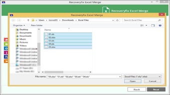 Recoveryfix Excel Mergerの画像0