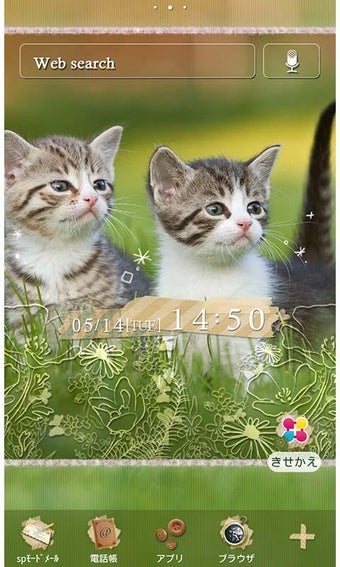 猫壁紙 Called me?的第0张图片