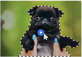 Imagen 0 para Adobe Photoshop Elements