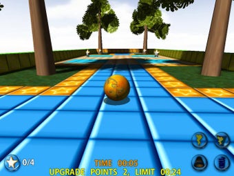 Bild 0 für Marble Arena