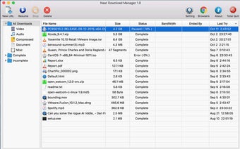 Obraz 2 dla Neat Download Manager