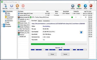Neat Download Manager Captures 2