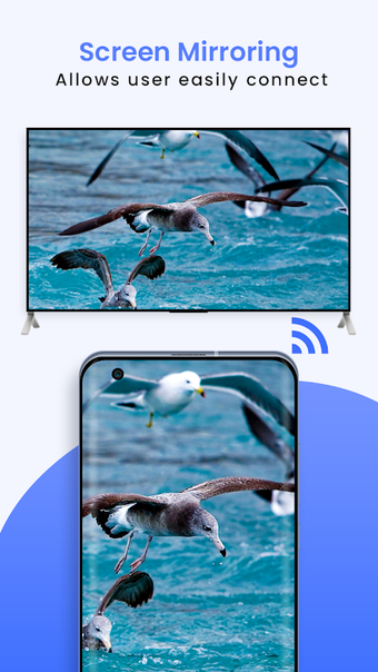 Image 0 pour Screen Mirroring with all…
