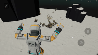 Obraz 0 dla Kodii Sandbox