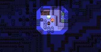 Bild 0 für PokeWilds