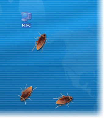 Image 2 pour Cockroach on Desktop