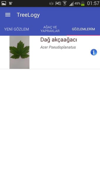Obraz 0 dla TreeLogy