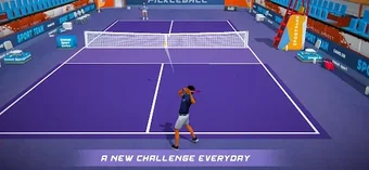 Image 0 pour Pickleball 3D