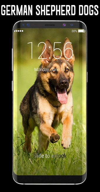 Bild 0 für German Shepherd Dog Lock …