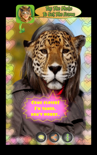 Look Like Cat的第0张图片