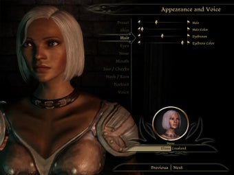 Immagine 3 per Dragon Age: Origins Chara…