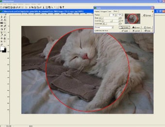 Image 2 for Ultimate Paint