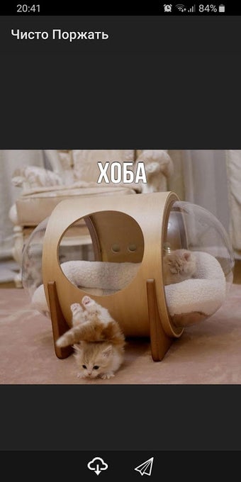 Чисто Поржать的第0张图片