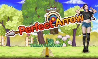 PERFECT ARROW的第0张图片