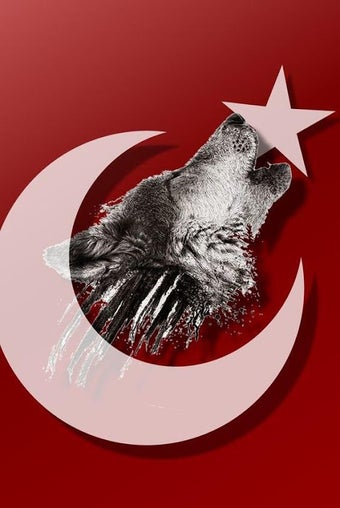 Bild 0 für Turkey Flag Wallpapers