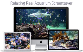 Bild 0 für Aquarium live lite: Relax…