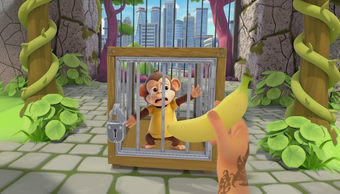 Bild 0 für I Am Zoo Monkey