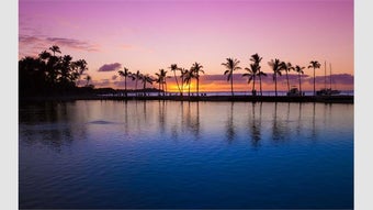 Immagine 0 per Islands in the Sun