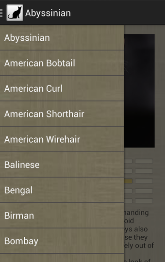 Bild 0 für Cat Breeds