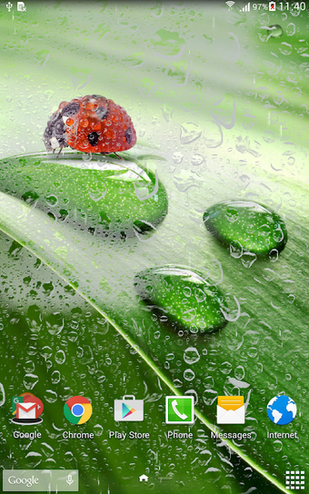 Macro Spring Live Wallpaper