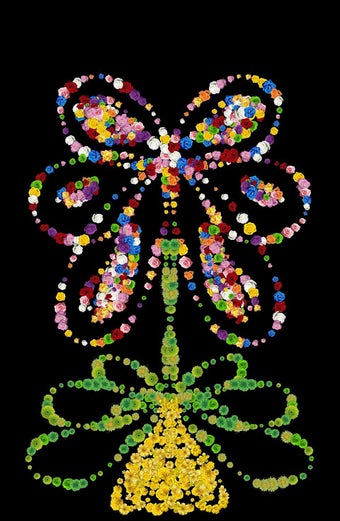 Image 0 pour Live flowers drawing & Sk…