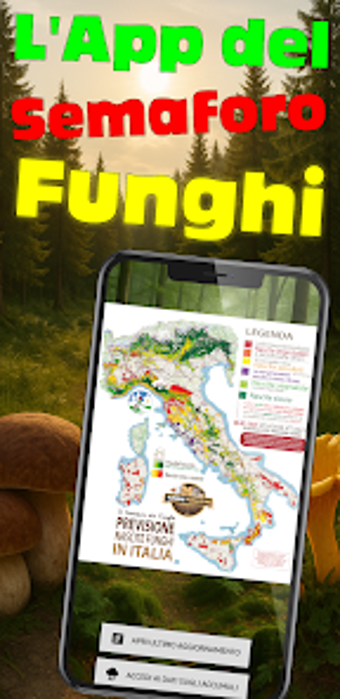 Immagine 0 per Semaforo dei Funghi