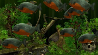 Immagine 0 per Behind Glass: Aquarium Si…