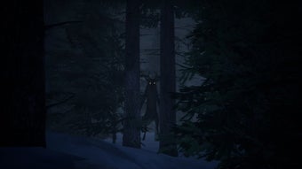 Immagine 0 per The Wicker Devil